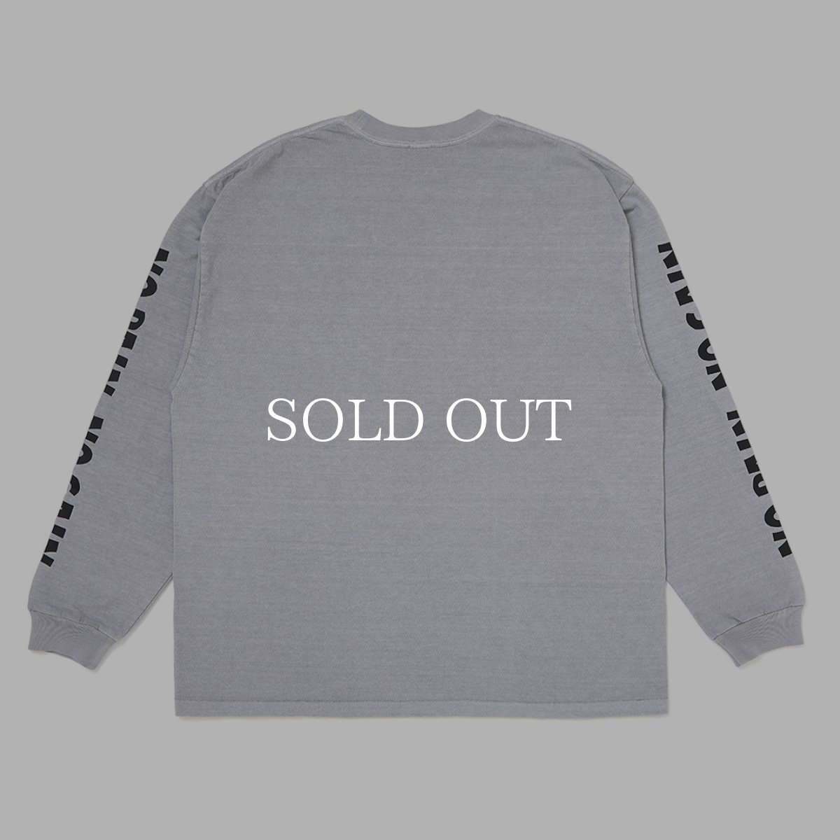 画像6: CHALLENGER  【再入荷】L/S PIGMENT SNAKE TEE (6)