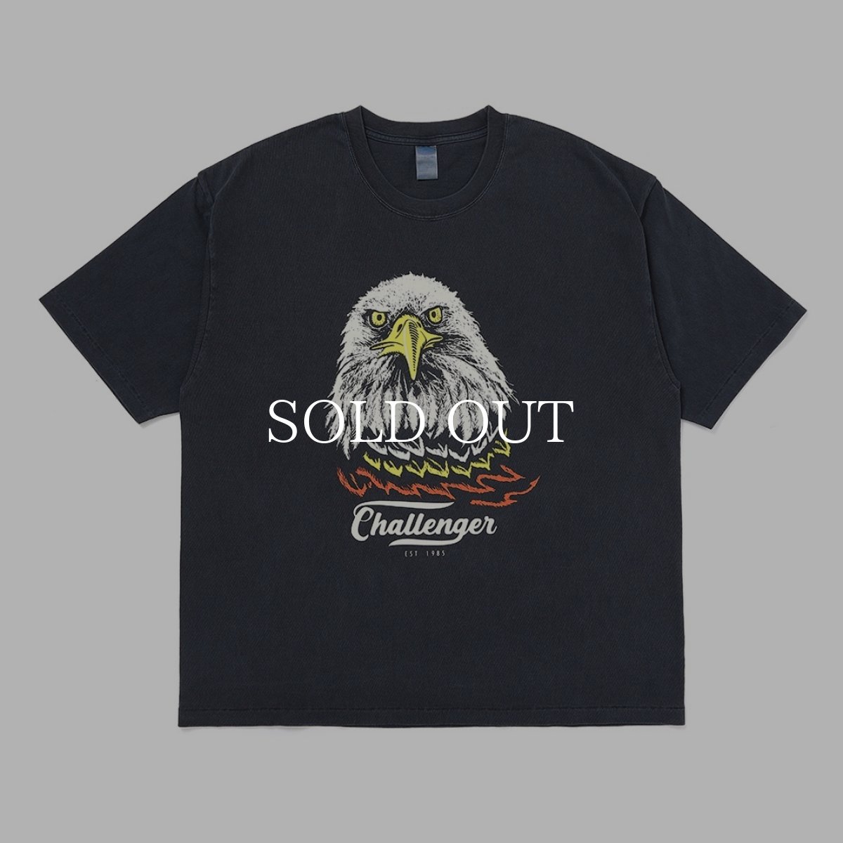 画像1: CHALLENGER  EAGLE TEE (1)
