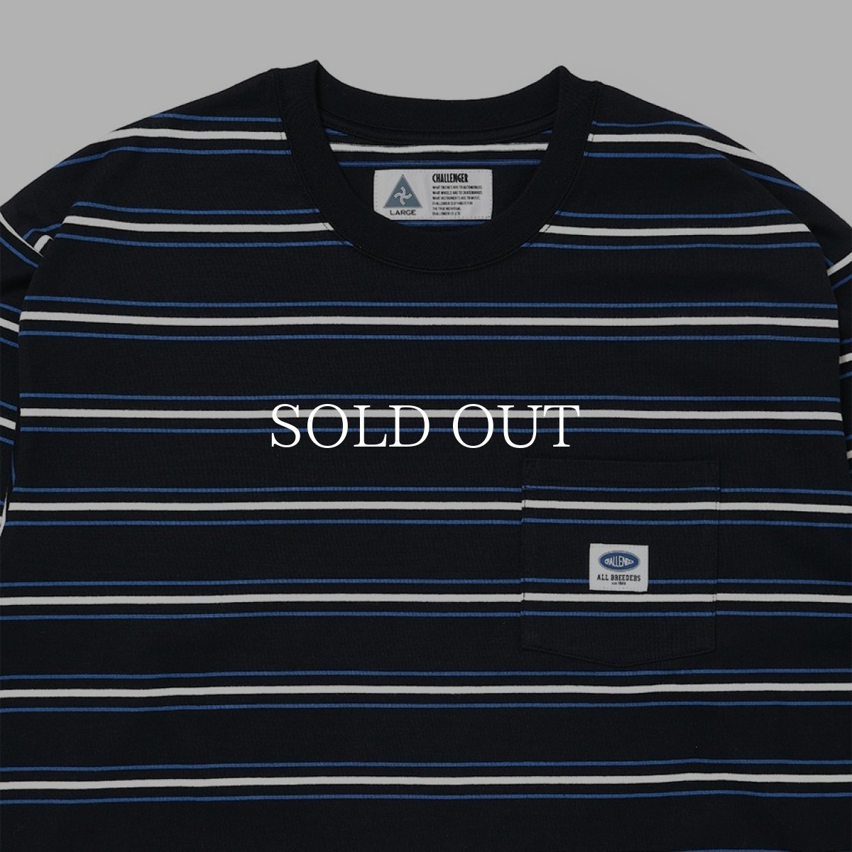 画像6: CHALLENGER  L/S AUTHENTIC BORDER TEE (6)
