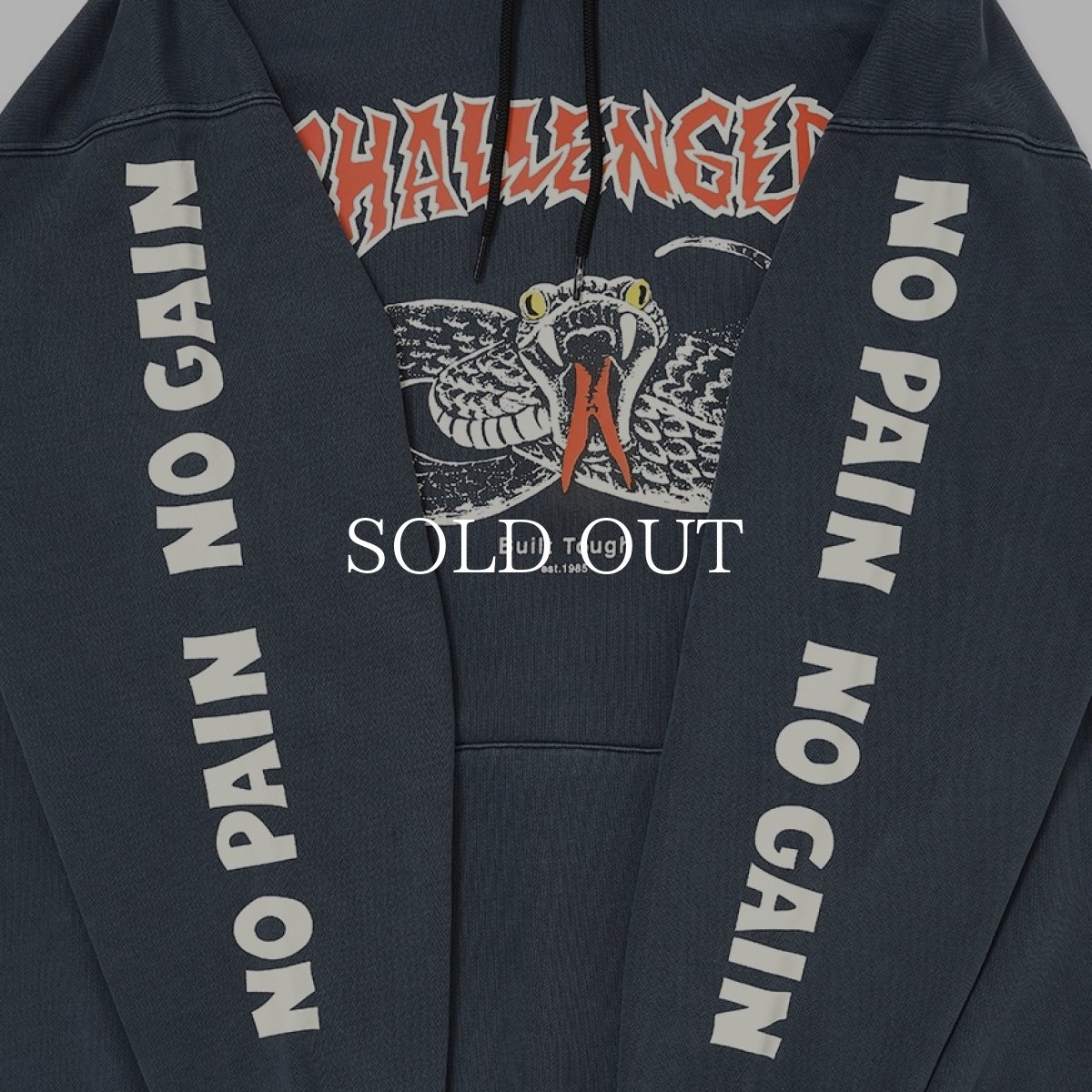 画像4: CHALLENGER  SNAKE HOODIE (4)