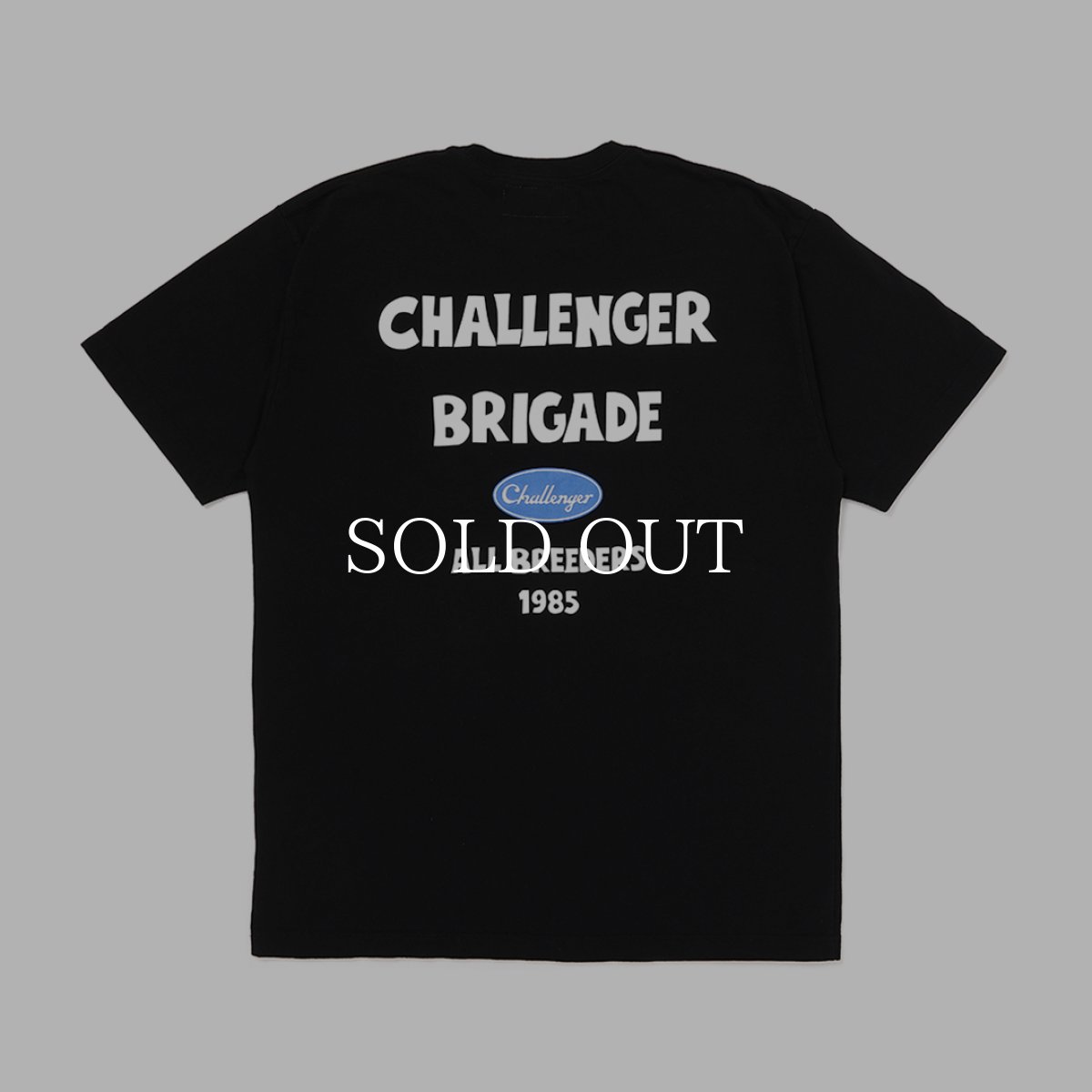 画像6: CHALLENGER  BRIGADE TEE (6)