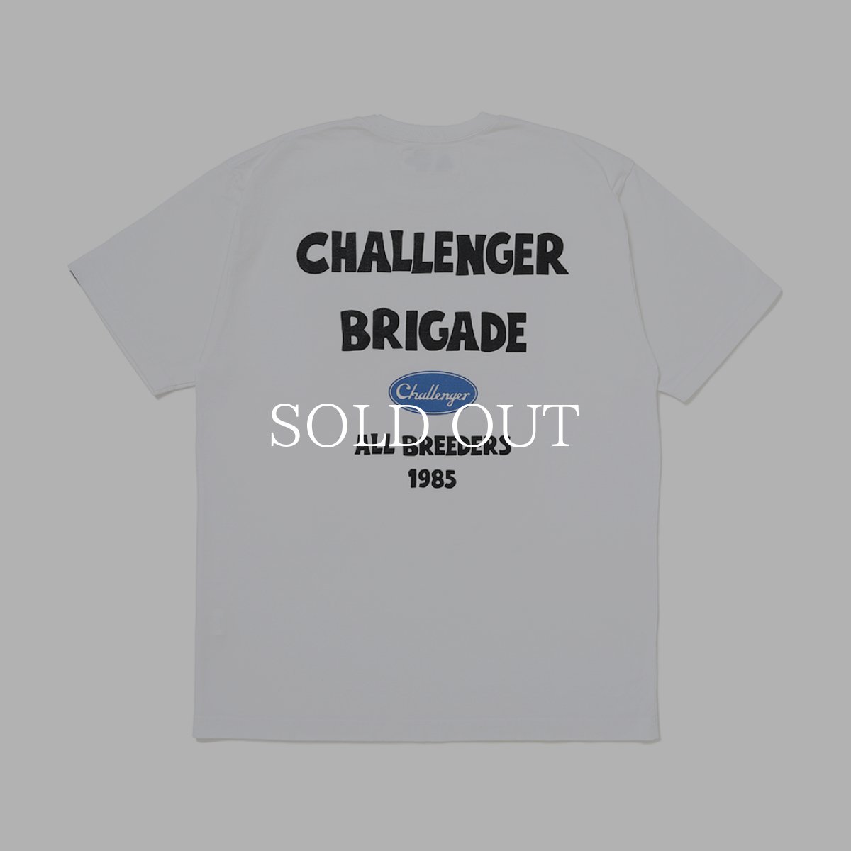 画像1: CHALLENGER  BRIGADE TEE (1)