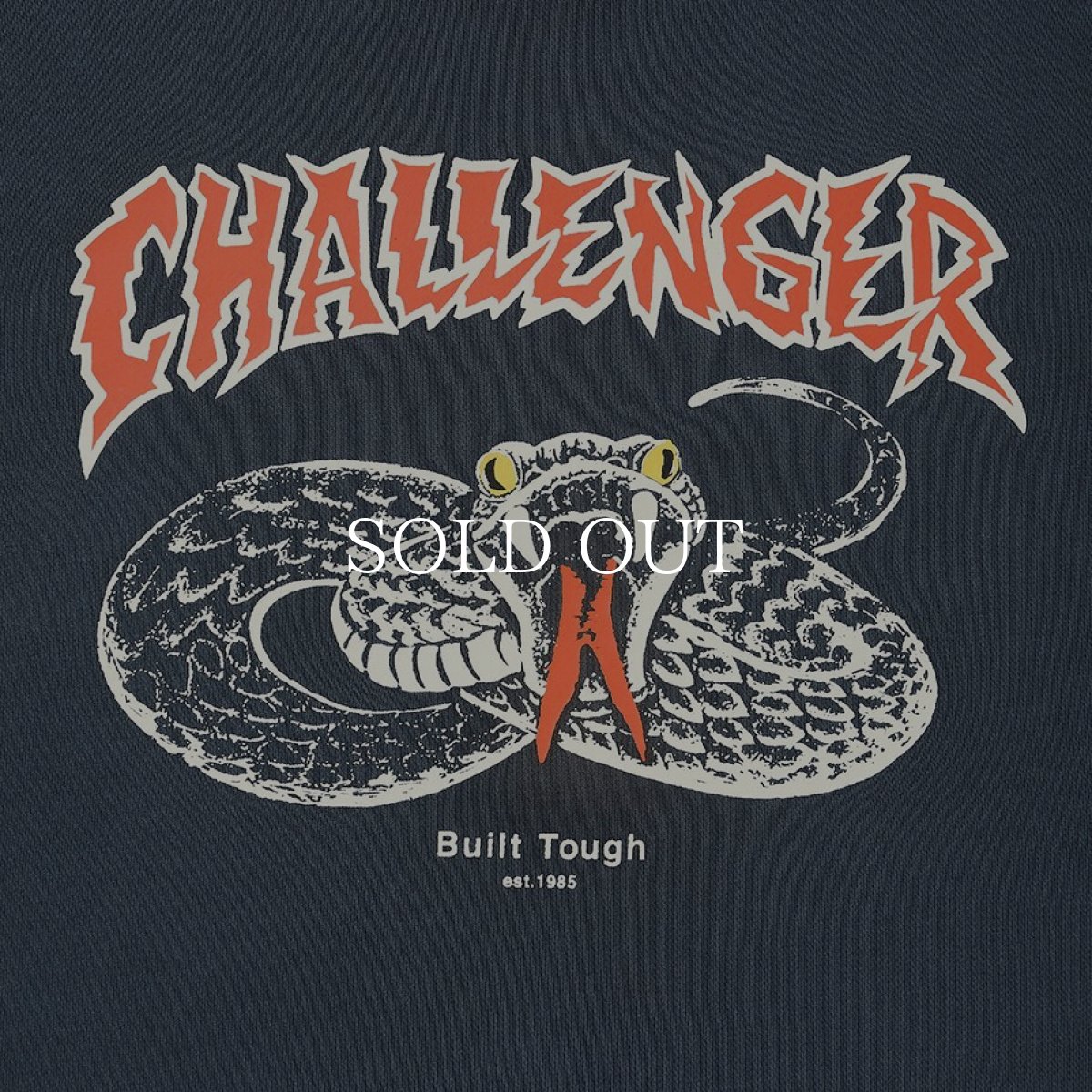 画像3: CHALLENGER  SNAKE HOODIE (3)