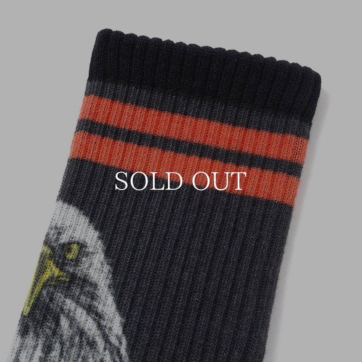 画像2: CHALLENGER  EAGLE SOCKS (2)