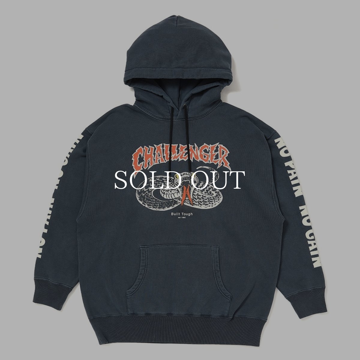 画像1: CHALLENGER  SNAKE HOODIE (1)