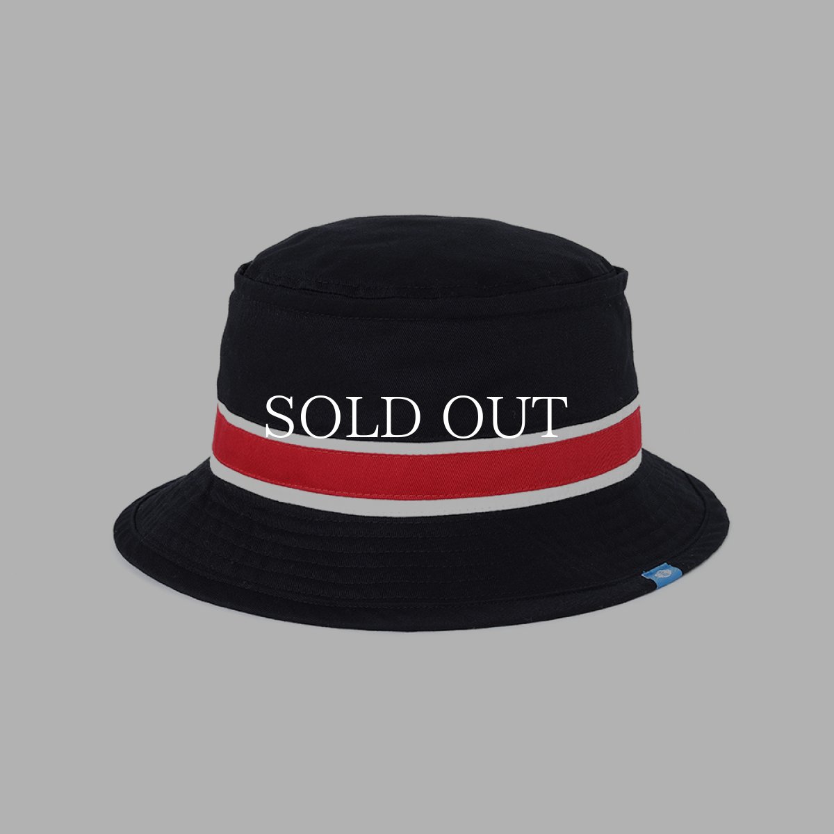 画像1: CHALLENGER  LINE HAT (1)