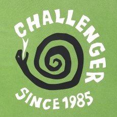 画像9: CHALLENGER  PIGMENT SPIRAL SNAKE TANK (9)