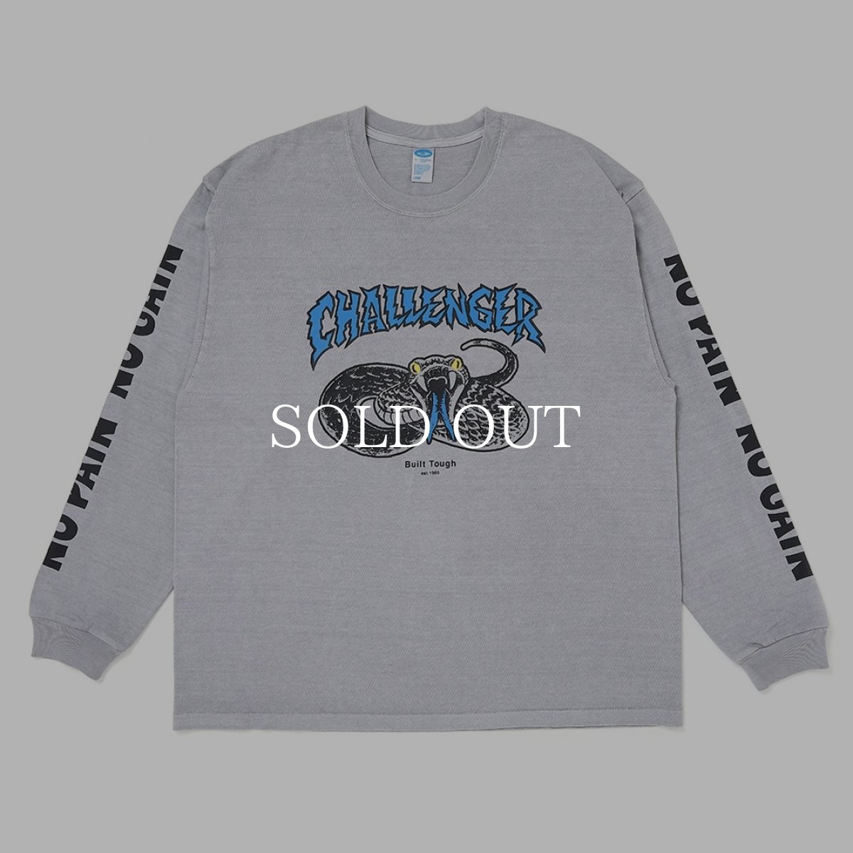 画像5: CHALLENGER  【再入荷】L/S PIGMENT SNAKE TEE (5)