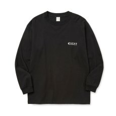 画像1: CALEE  VINTAGE TYPE EMBROIDERY L/S TEE (1)