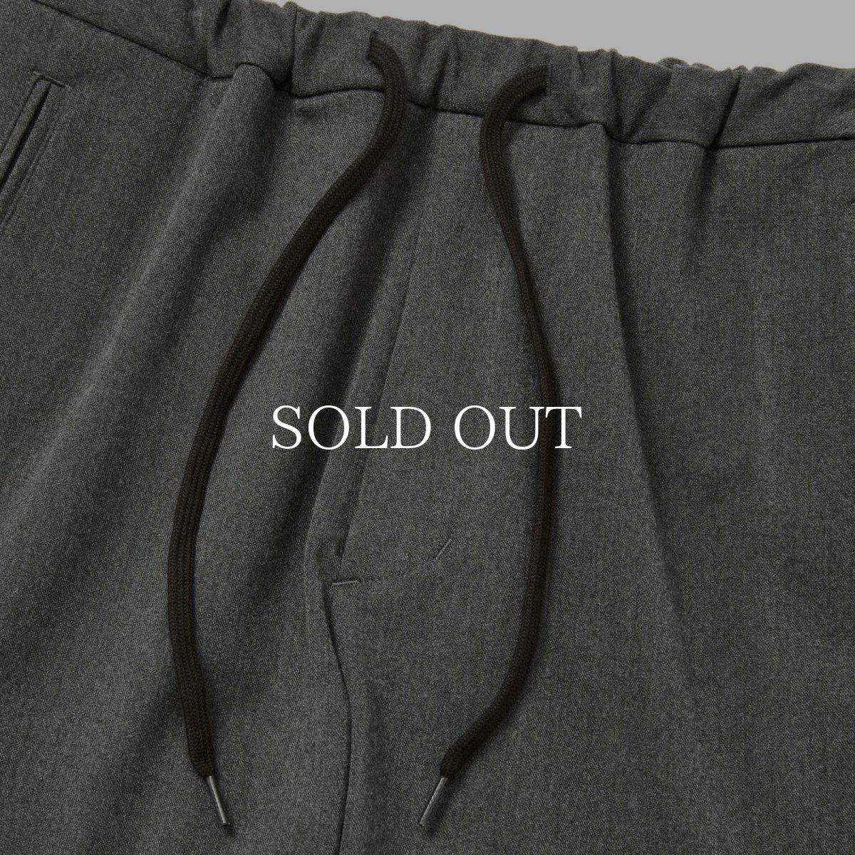 画像5: CALEE  THERMOLITE EASY SLACKS (5)