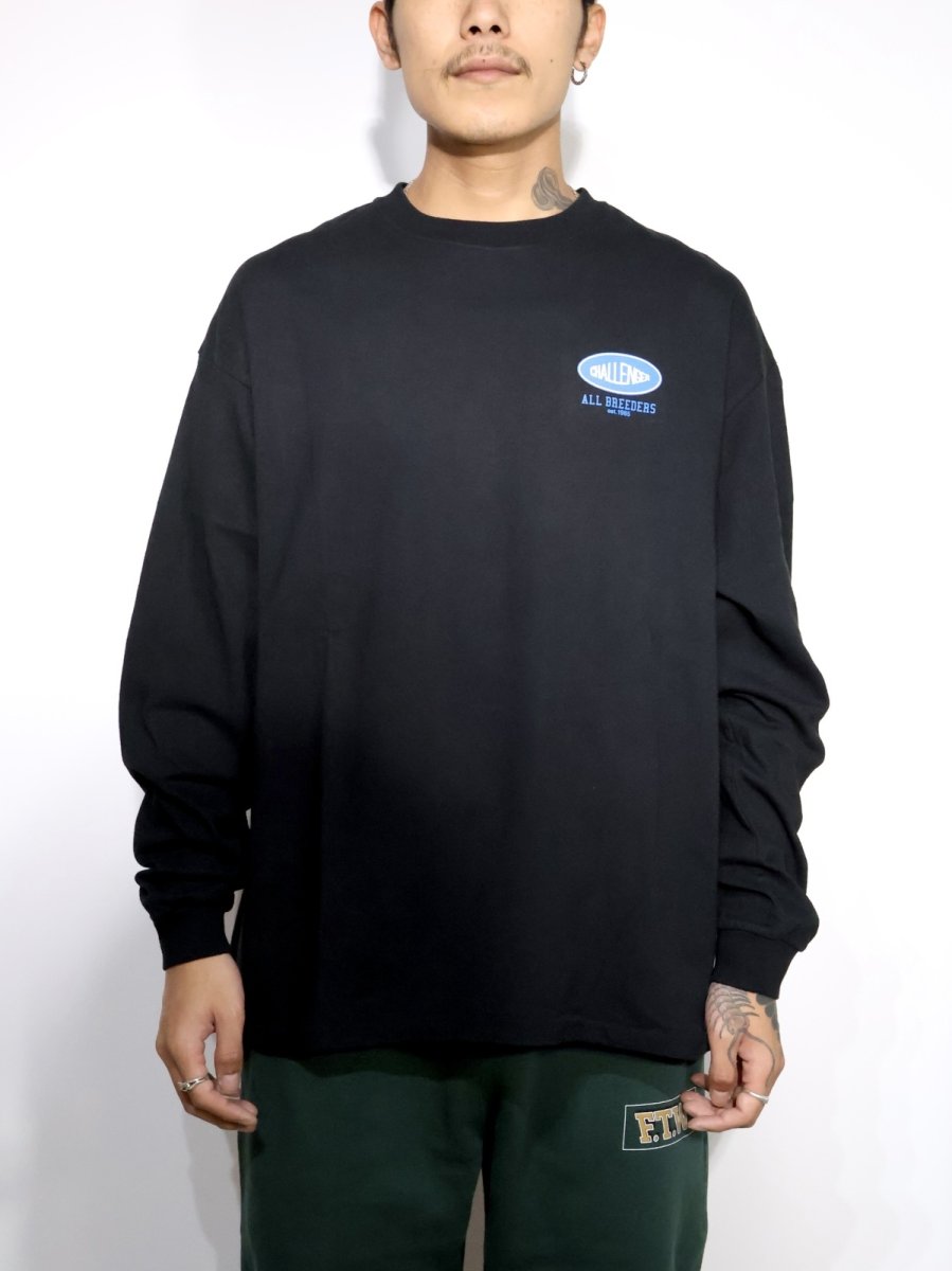 画像3: CHALLENGER  L/S SUNSET DRIVE TEE (3)