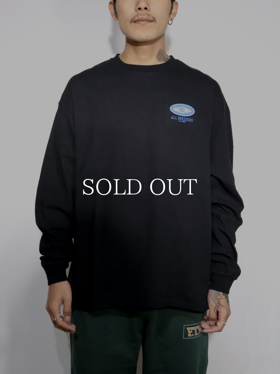画像3: CHALLENGER  L/S SUNSET DRIVE TEE (3)