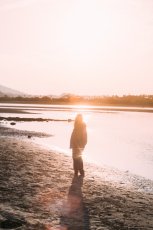 画像12: STANDARD CALIFORNIA  SD Duck Hood Jacket VW (12)