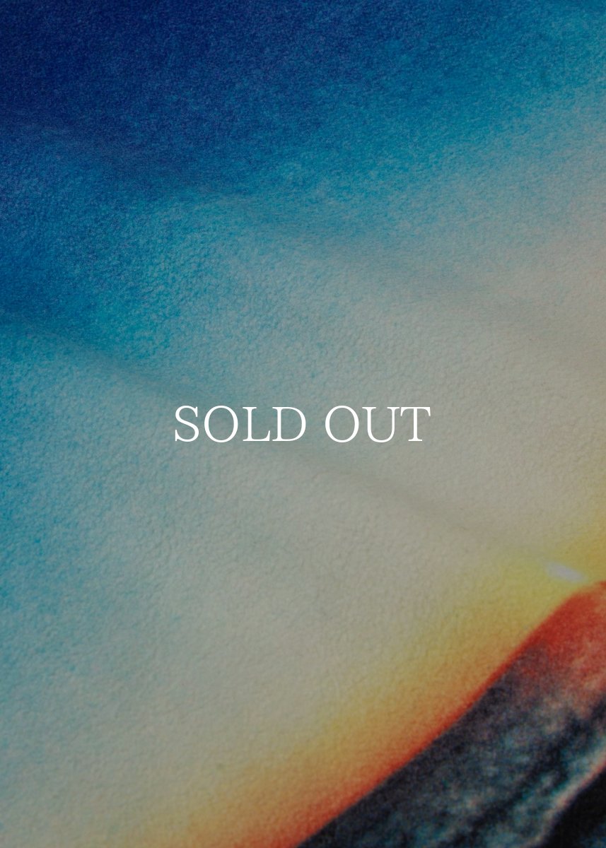 画像9: APPLEBUM  “Summer Madness” Half Zip Fleece (9)