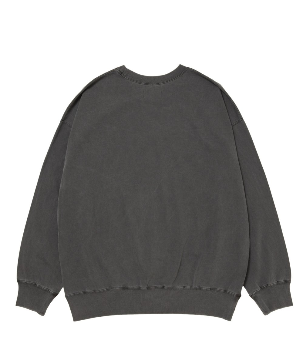 画像2: ROTTWEILER 【先行予約】R9 LAND TRAINER (2)