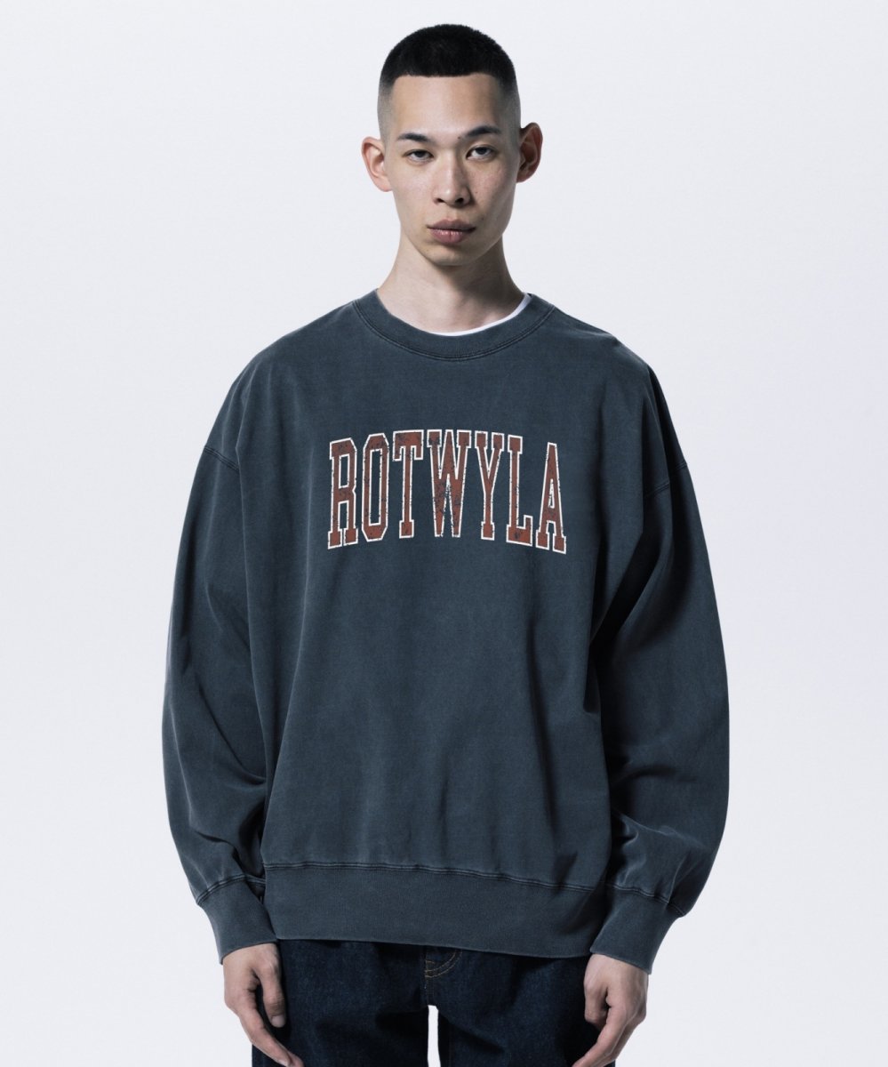 画像3: ROTTWEILER 【先行予約】R9 ROT TRAINER (3)