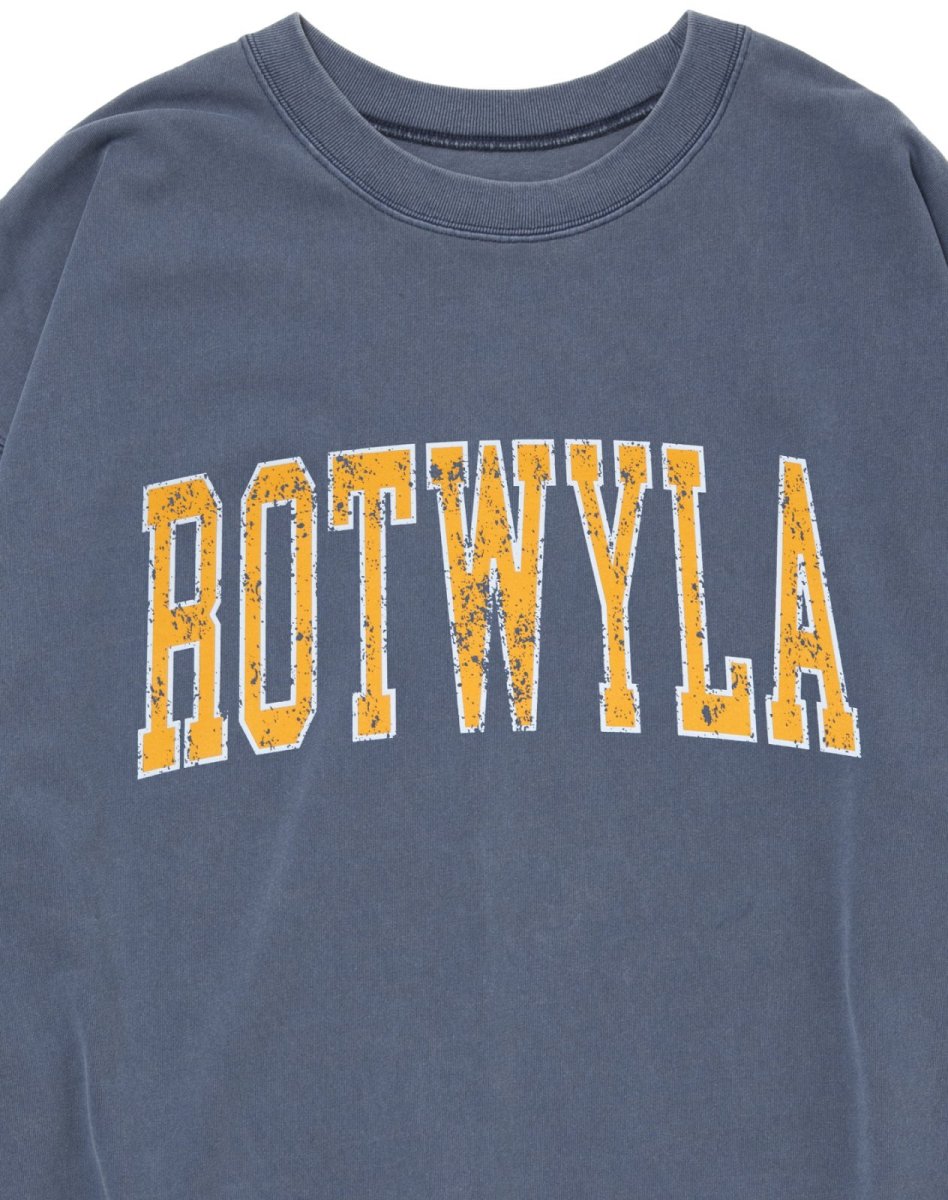 画像7: ROTTWEILER 【先行予約】R9 ROT TRAINER (7)