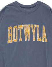 画像7: ROTTWEILER 【先行予約】R9 ROT TRAINER (7)