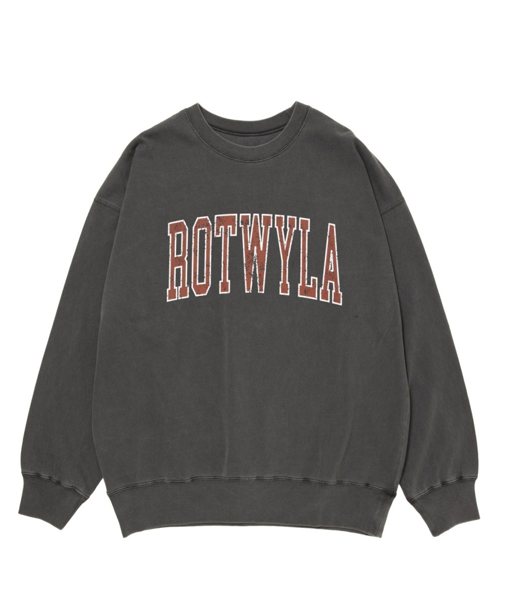 画像1: ROTTWEILER 【先行予約】R9 ROT TRAINER (1)