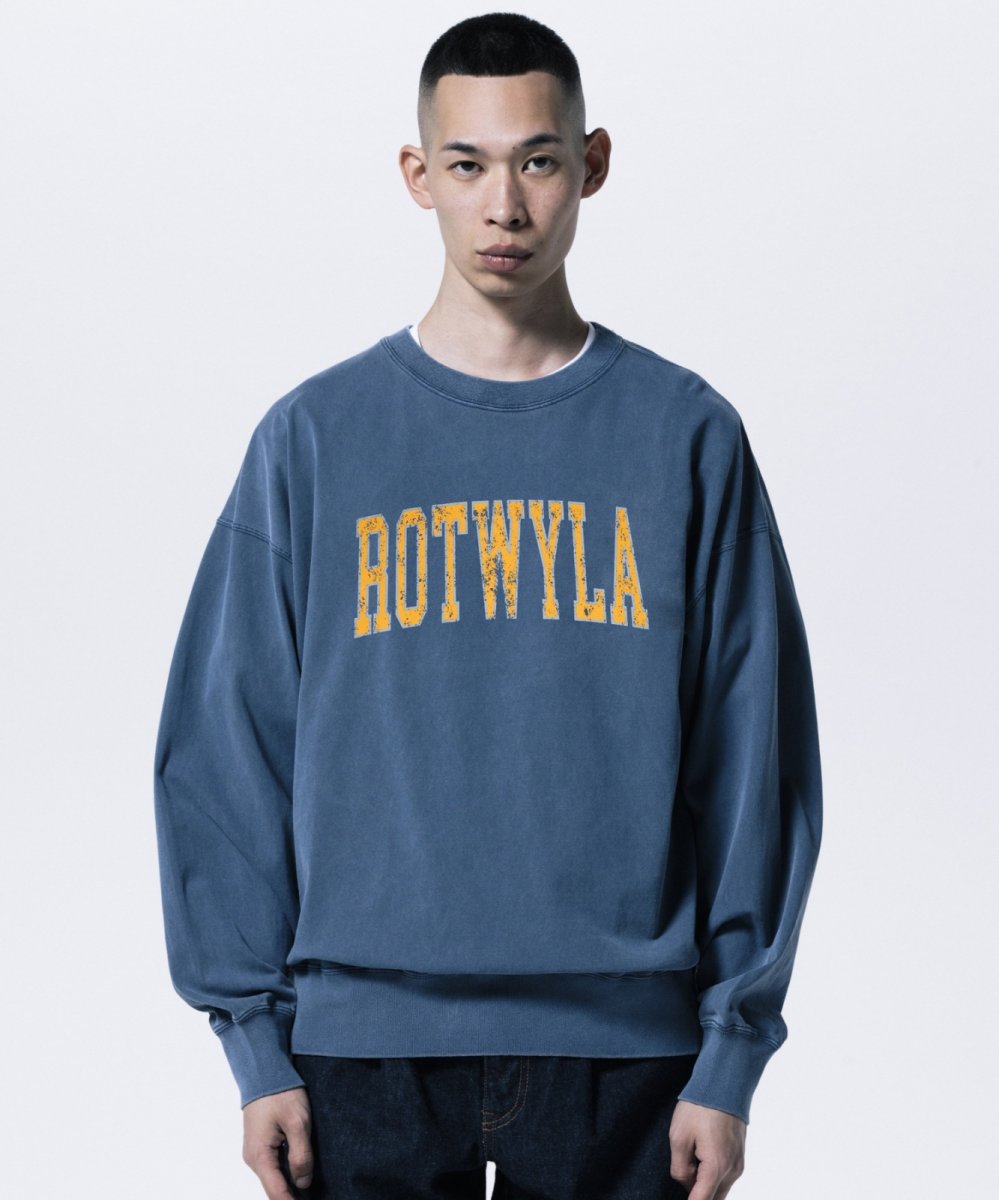 画像8: ROTTWEILER 【先行予約】R9 ROT TRAINER (8)