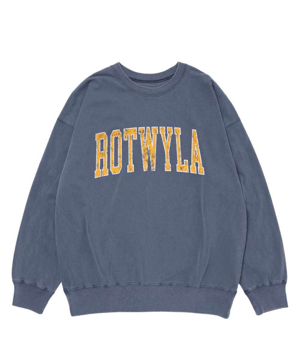 画像5: ROTTWEILER 【先行予約】R9 ROT TRAINER (5)