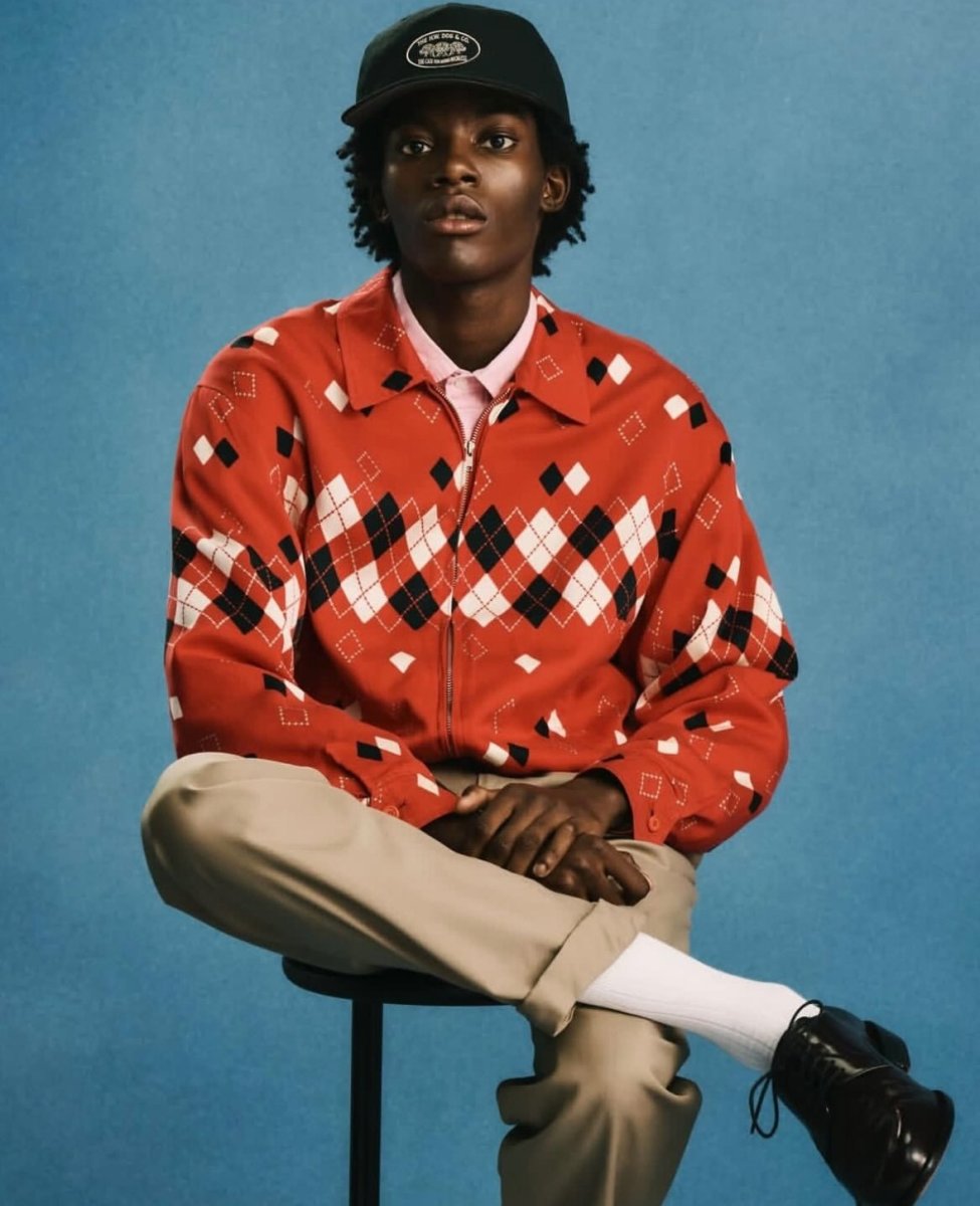 画像2: THE H.W.DOG&CO.  BALL CAP (2)