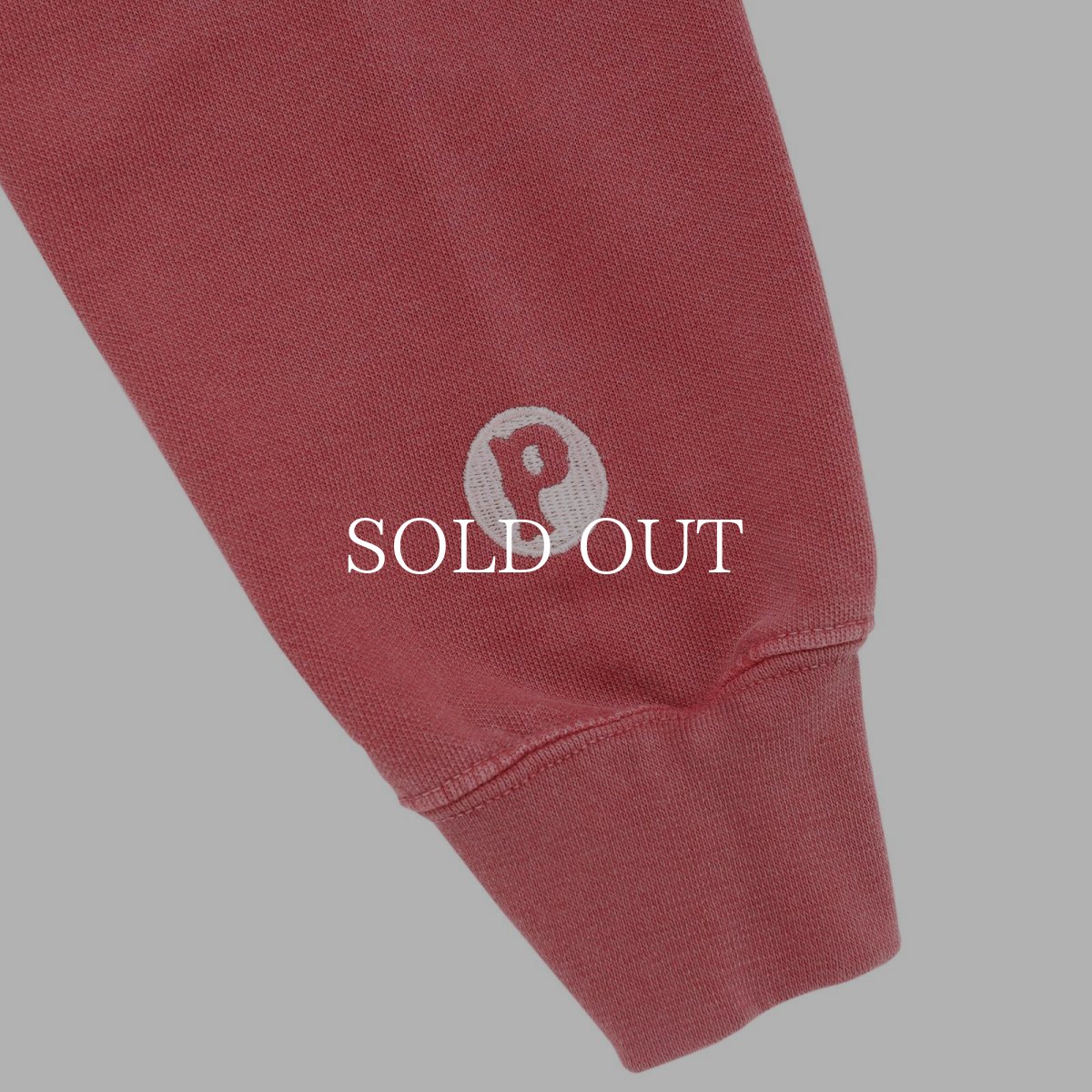 画像10: PORKCHOP GARAGE SUPPLY  RUNNING LOGO HOODIE (10)