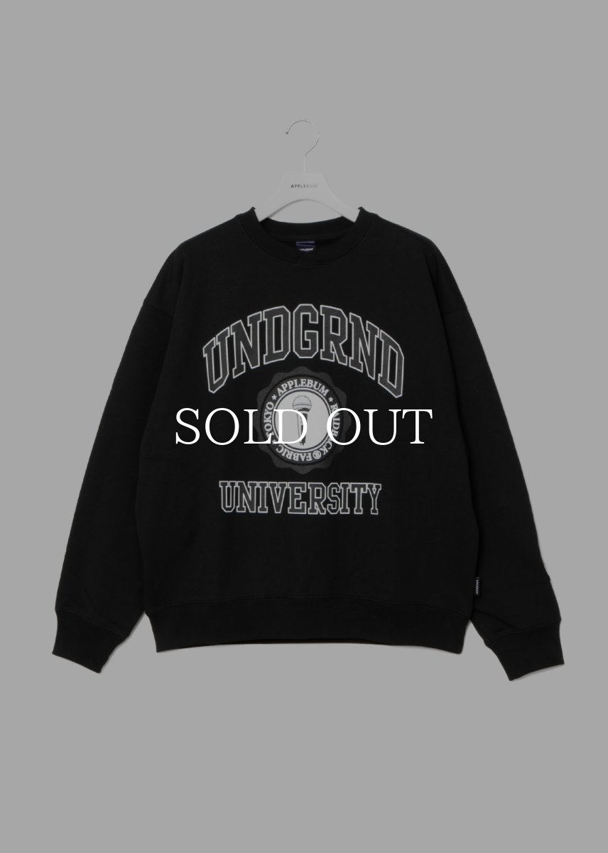 画像1: APPLEBUM  “UNDERGROUND UNIVERSITY” Crew Sweat (1)