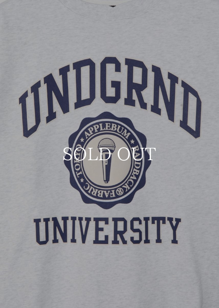 画像9: APPLEBUM  “UNDERGROUND UNIVERSITY” Crew Sweat (9)