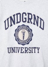 画像9: APPLEBUM  “UNDERGROUND UNIVERSITY” Crew Sweat (9)