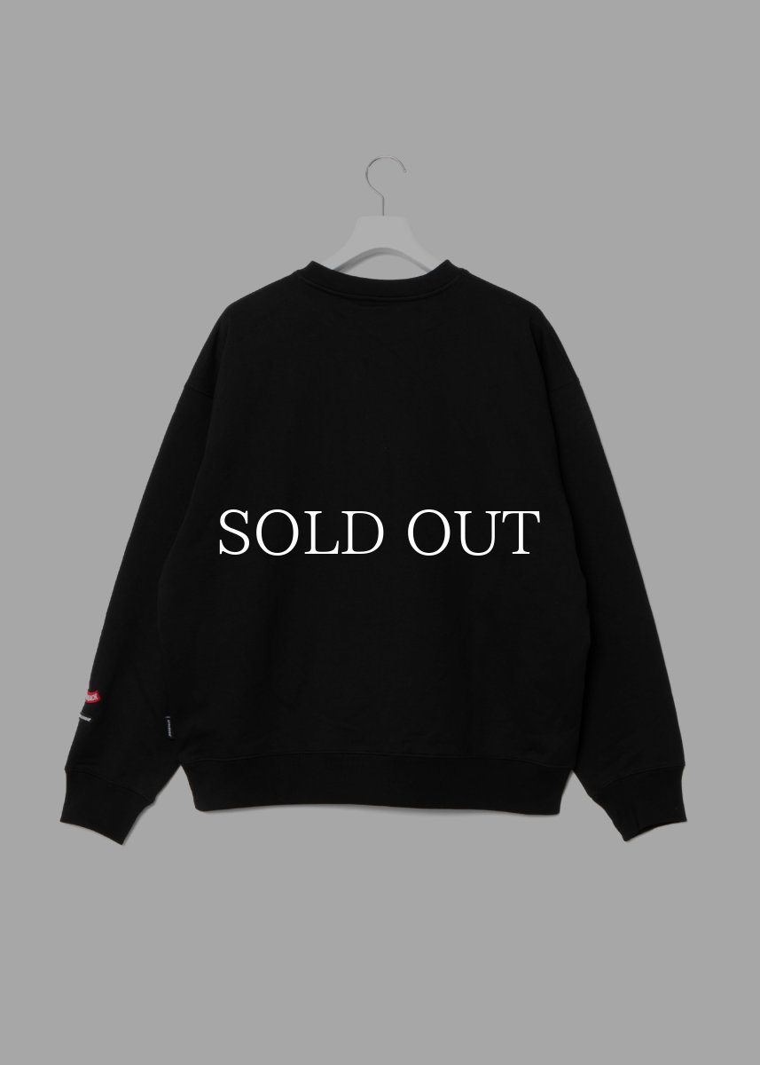 画像2: APPLEBUM  “UNDERGROUND UNIVERSITY” Crew Sweat (2)