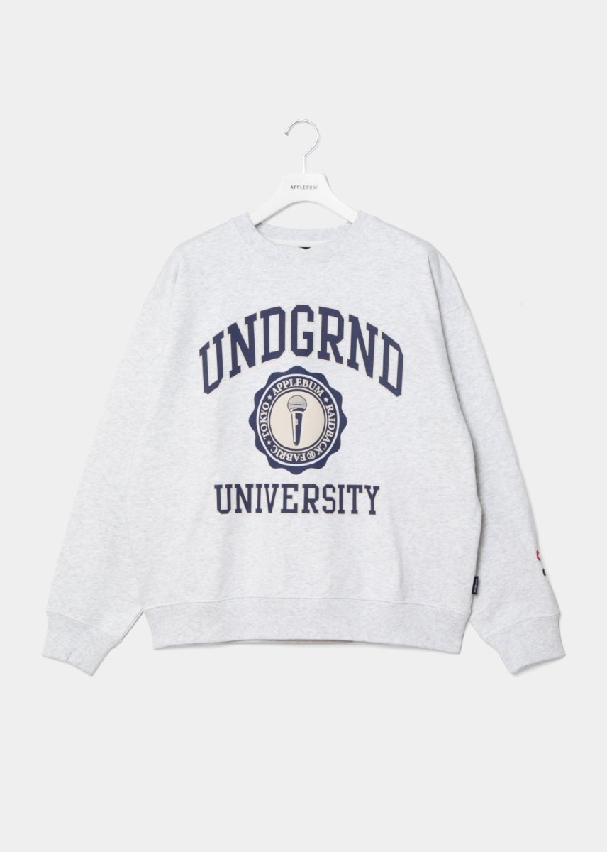 画像7: APPLEBUM  “UNDERGROUND UNIVERSITY” Crew Sweat (7)