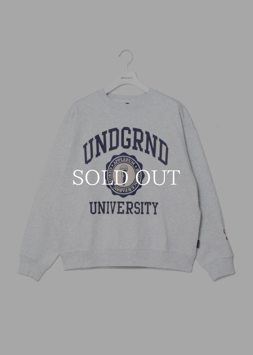 画像7: APPLEBUM  “UNDERGROUND UNIVERSITY” Crew Sweat (7)