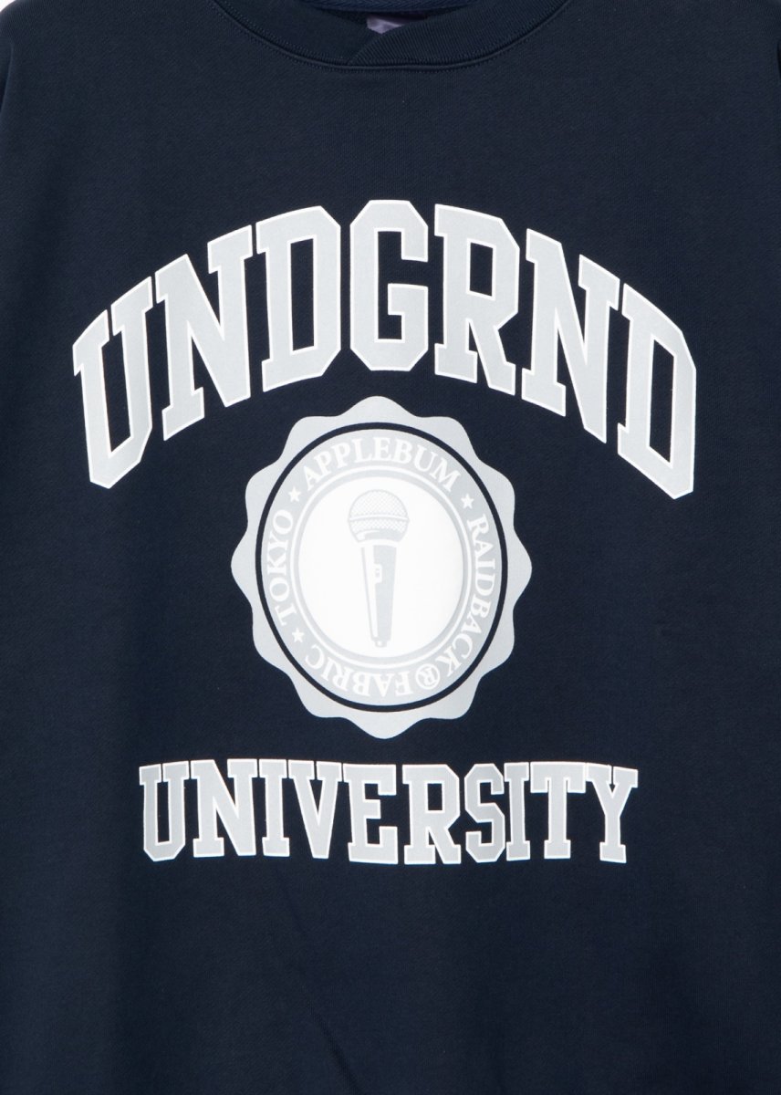 画像14: APPLEBUM  “UNDERGROUND UNIVERSITY” Crew Sweat (14)