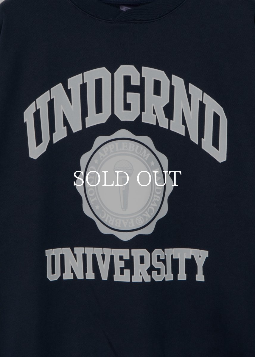 画像14: APPLEBUM  “UNDERGROUND UNIVERSITY” Crew Sweat (14)