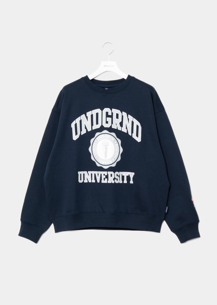 画像12: APPLEBUM  “UNDERGROUND UNIVERSITY” Crew Sweat (12)
