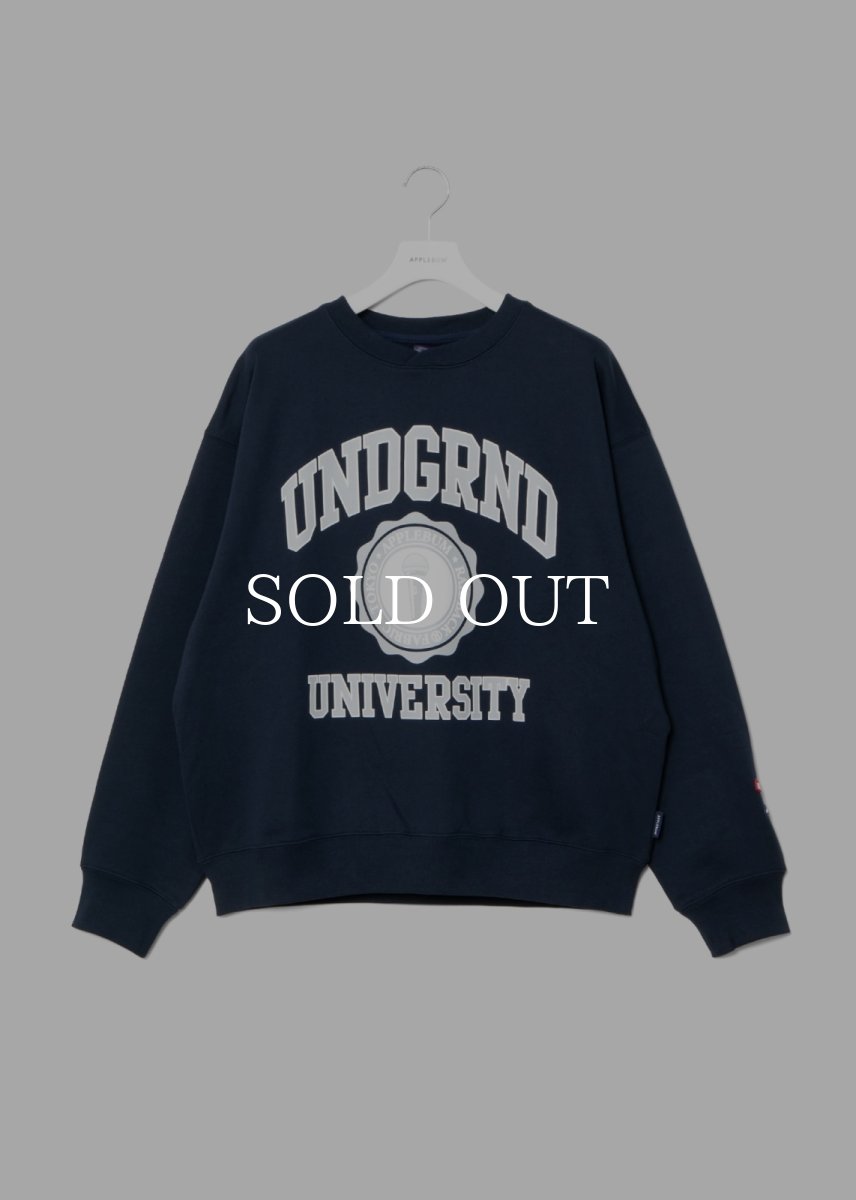 画像12: APPLEBUM  “UNDERGROUND UNIVERSITY” Crew Sweat (12)
