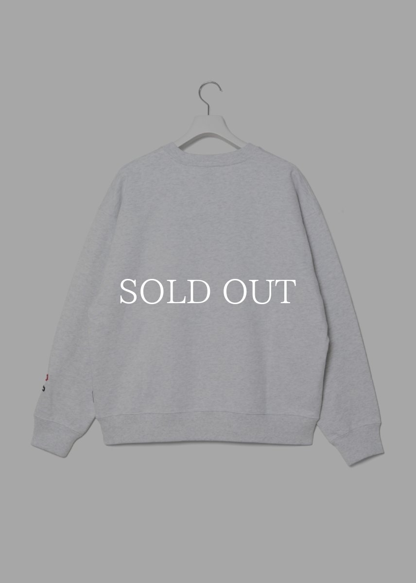 画像8: APPLEBUM  “UNDERGROUND UNIVERSITY” Crew Sweat (8)