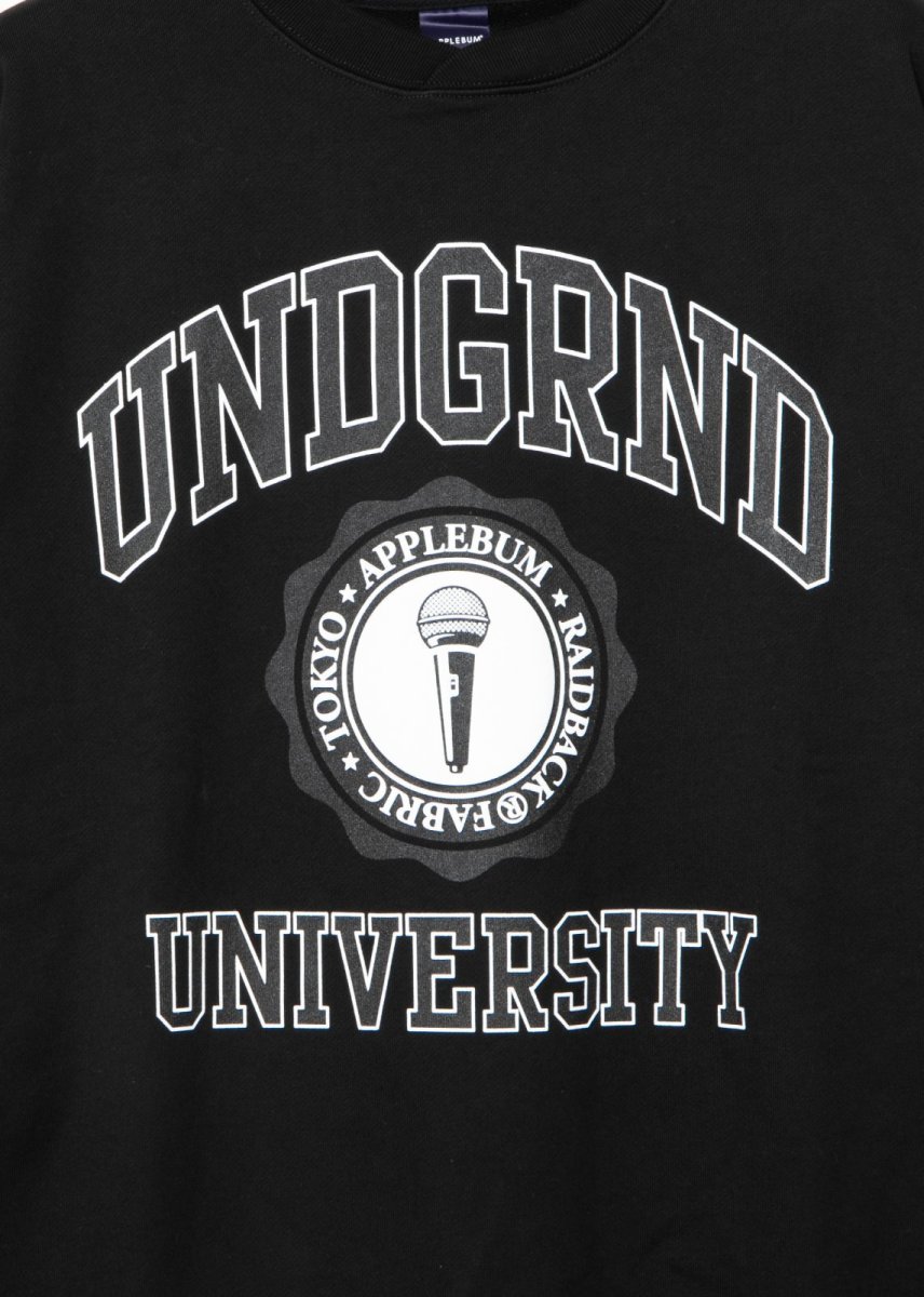 画像4: APPLEBUM  “UNDERGROUND UNIVERSITY” Crew Sweat (4)