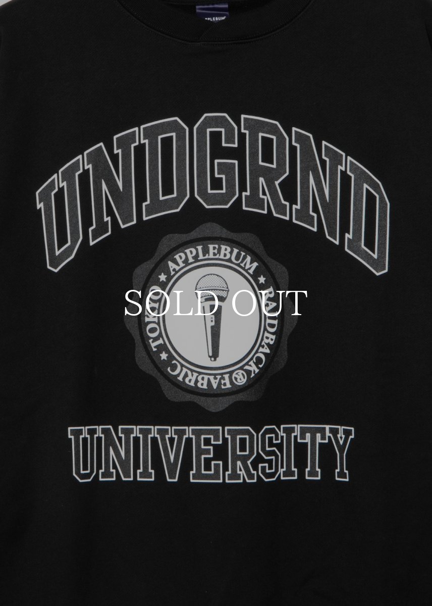 画像4: APPLEBUM  “UNDERGROUND UNIVERSITY” Crew Sweat (4)