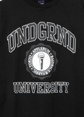 画像4: APPLEBUM  “UNDERGROUND UNIVERSITY” Crew Sweat (4)