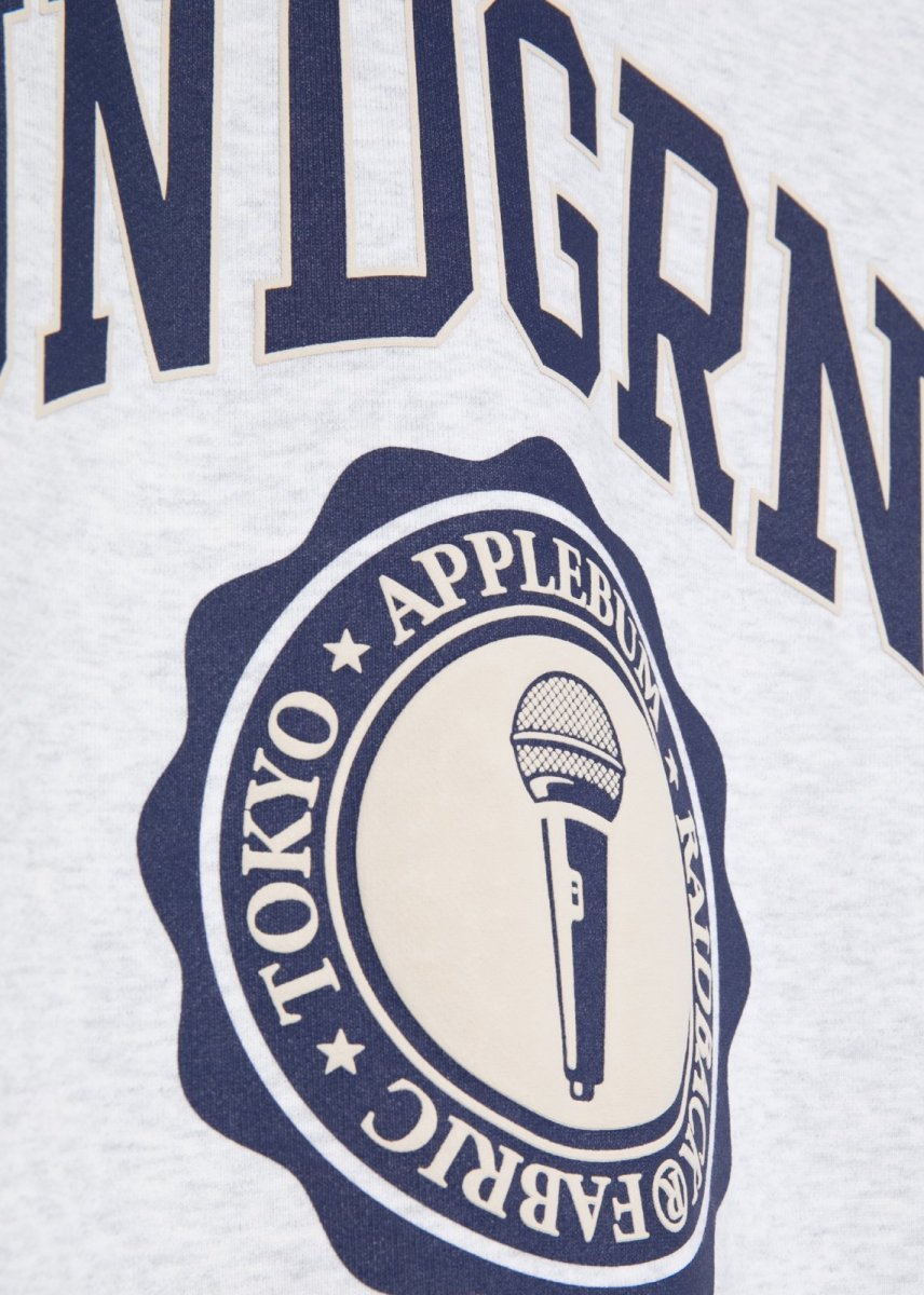 画像10: APPLEBUM  “UNDERGROUND UNIVERSITY” Crew Sweat (10)