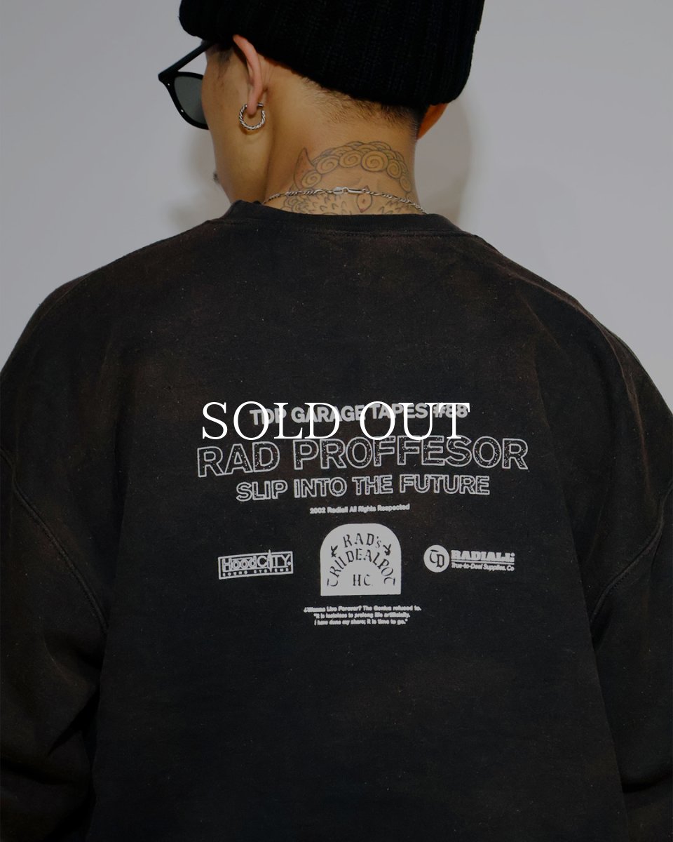 画像5: RADIALL  E=MC2 - CREW NECK SWEATSHIRT L/S (5)