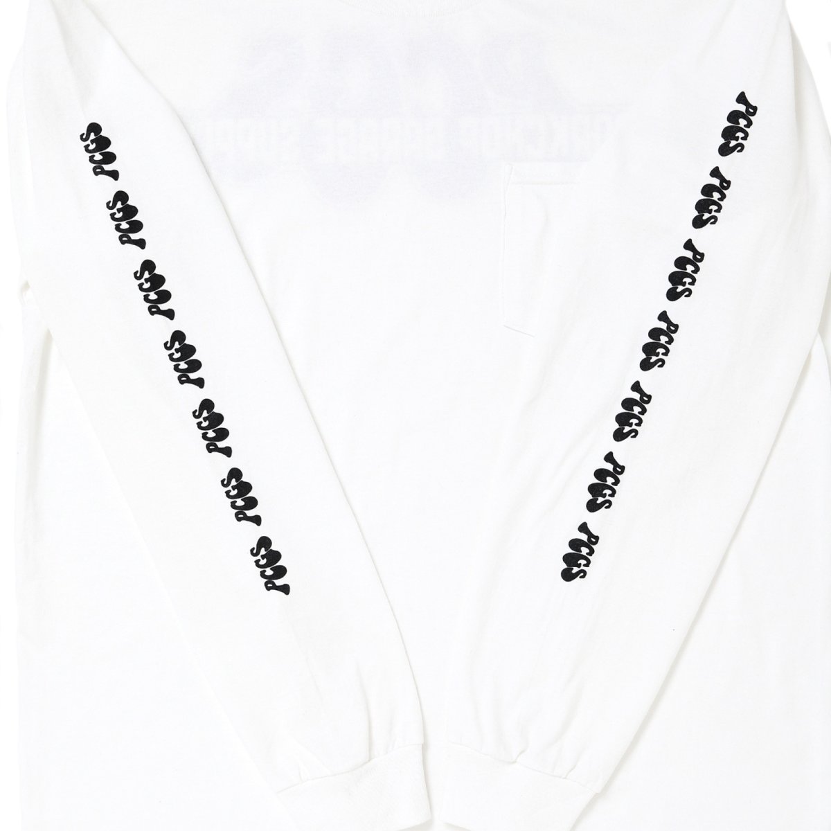 画像6: PORKCHOP GARAGE SUPPLY  PP LOGO L/S TEE (6)