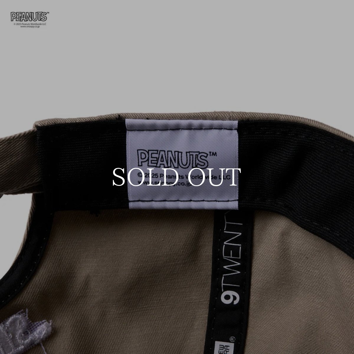 画像9: NEW ERA  9TWENTY ロングバイザー PEANUTS ピーナッツ スヌーピー ウッドストックと仲間たち ペブル | ゴルフ (9)