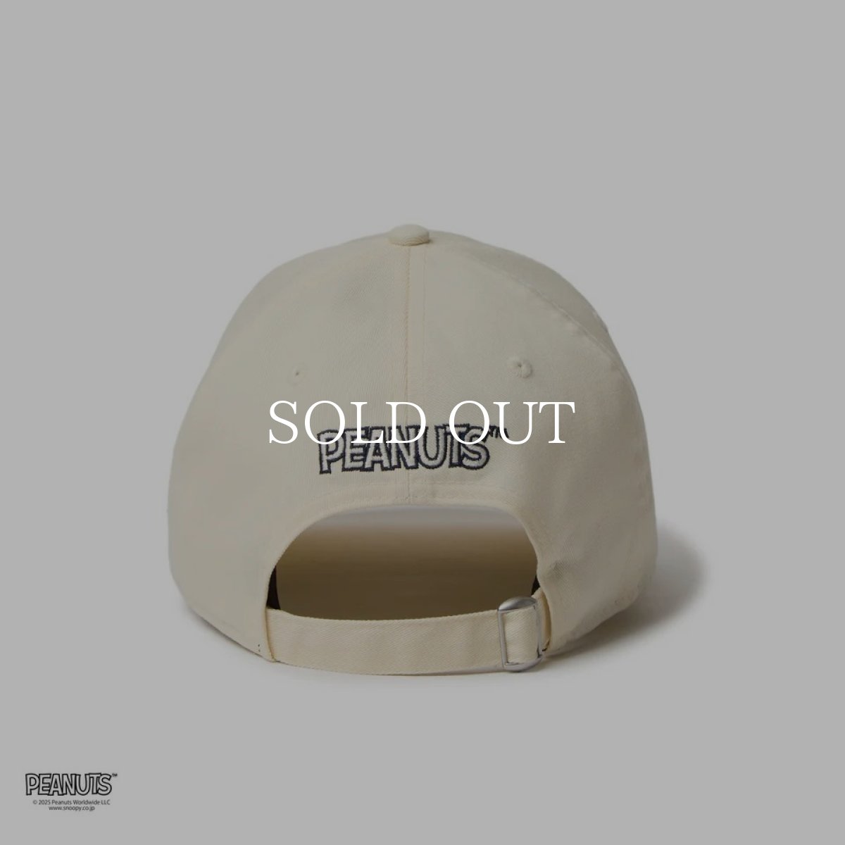 画像3: NEW ERA  9THIRTY PEANUTS ピーナッツ HAVE A NICE DAY クロームホワイト (3)