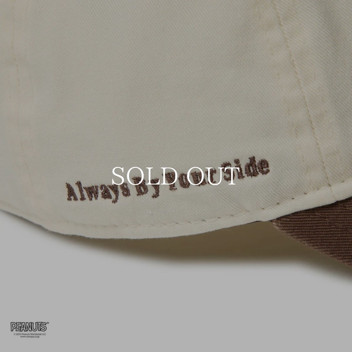 画像6: NEW ERA  9TWENTY PEANUTS ピーナッツ SNOOPY WITH BRO クロームホワイト/ウォルナット (6)