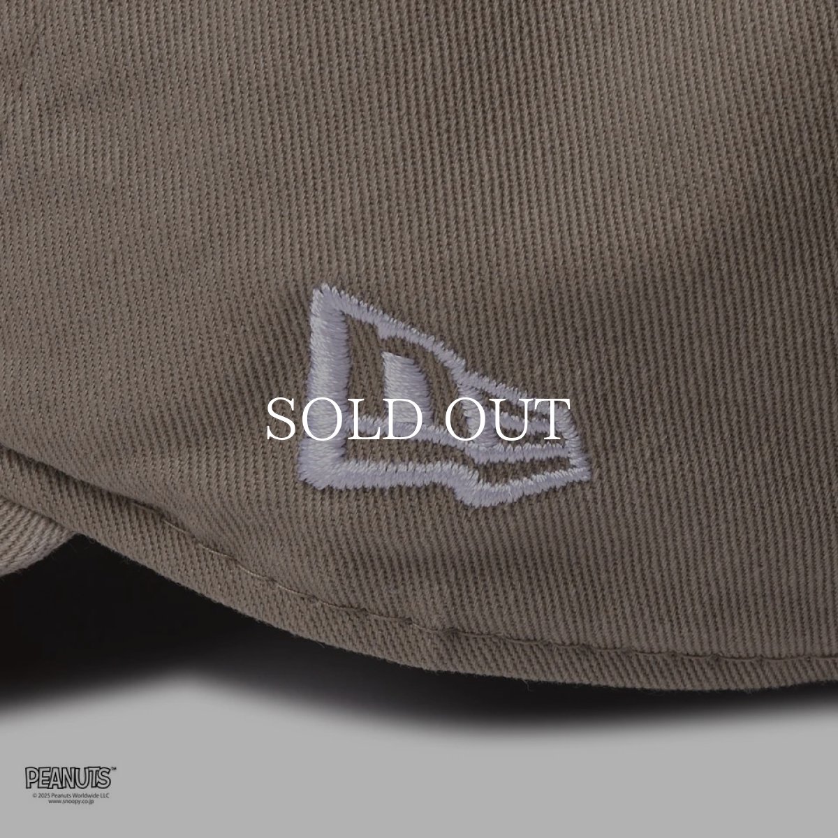 画像6: NEW ERA  9TWENTY ロングバイザー PEANUTS ピーナッツ スヌーピー ウッドストックと仲間たち ペブル | ゴルフ (6)