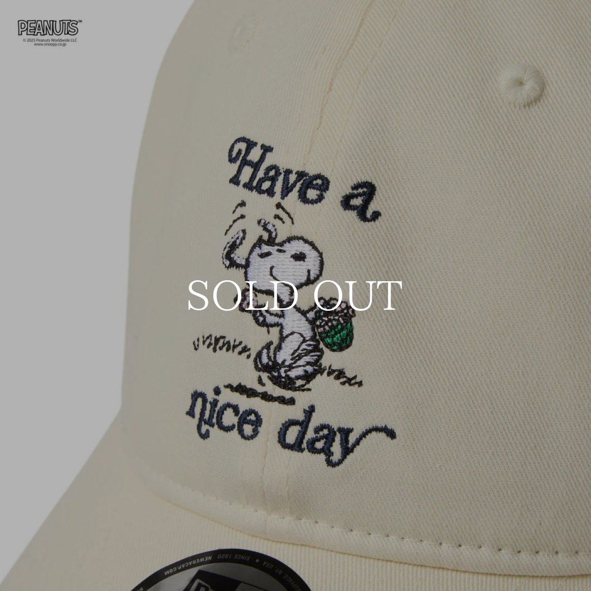 画像5: NEW ERA  9THIRTY PEANUTS ピーナッツ HAVE A NICE DAY クロームホワイト (5)
