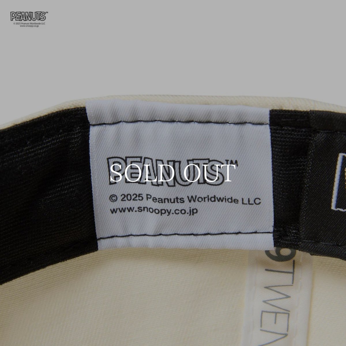 画像8: NEW ERA  キッズ Youth 9TWENTY PEANUTS ピーナッツ スヌーピー オラフ スパイク クロームホワイト/スレート (8)